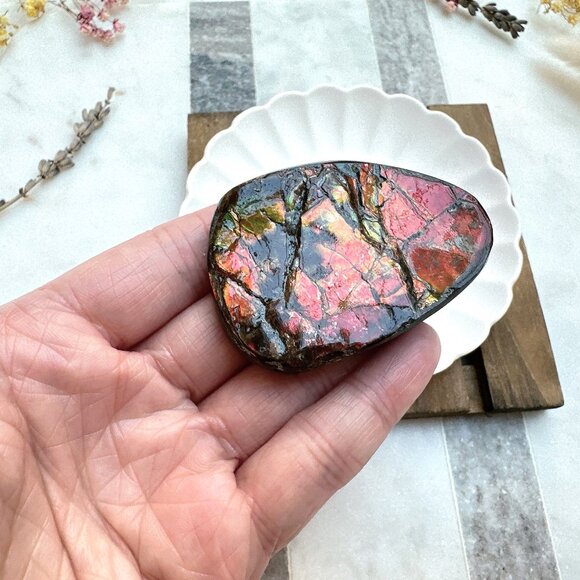 Gorgeous Ammolite Specimen | Canadian Ammolite Specimen - Picture 2 of 5